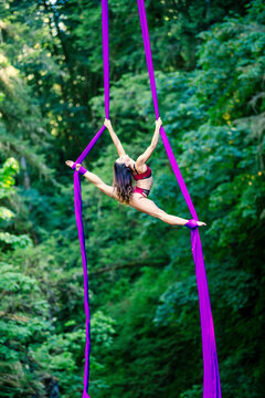 Aerial performer executing a pose on purple silks amidst a lush green forest backdrop, USA