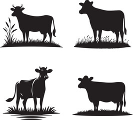 Silhouette of Cows in Various Poses on Grass