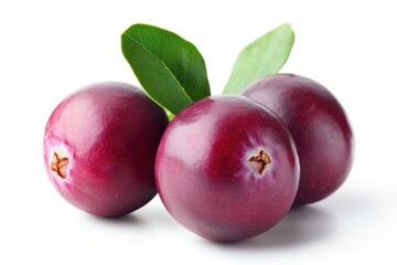 Obraz premium Isolated cranberry on a white backdrop