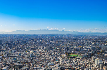 Fototapeta premium 富士山と東京都市風景 都庁から眺望