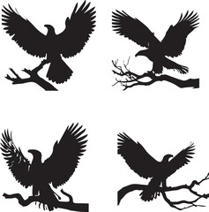 Obraz premium Eagle Silhouette Vector Set – Majestic Bird of Prey and Wildlife Design Elements