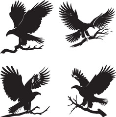 Obraz premium Eagle Silhouette Vector Set – Majestic Bird of Prey and Wildlife Design Elements