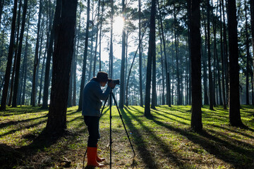 Photographer is taking photo of the new discovering bird species while exploring in the pine forest...