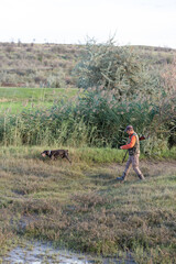 Mature hunter man holding a shotgun and walking through a field