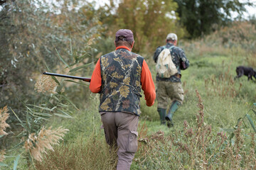 Mature hunter man holding a shotgun and walking through a field