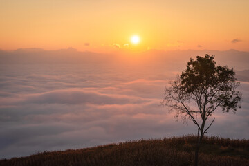 Naklejka premium Beautiful scenery of the sea of mist in the morning at the Car Camping site with a viewpoint nature at Doi Ba Lu Kho Mountain in Mae Chaem, Chiang Mai, Thailand. Background concept.