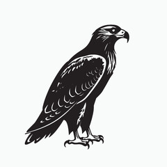 Obraz premium Eagle Silhouette Isolated on White Background
