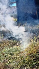 Obraz premium Burning dry branches and leaves in an open field, with smoke rising visibly