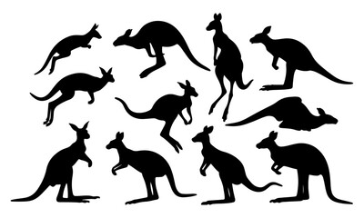 Kangaroo Silhouette Vector Illustration