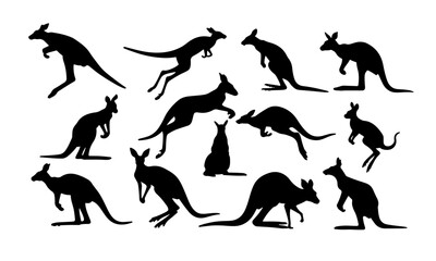 Kangaroo Silhouette Vector Illustration