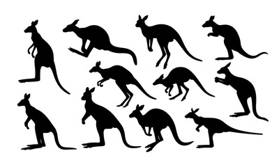 Kangaroo Silhouette Vector Collection