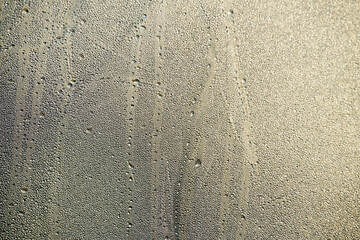 Water Droplets on a Textured Surface in Soft Natural Lighting