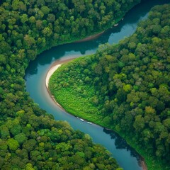green, nature, water, landscape, vegetable, tree, broccoli, forest, lake, food, summer, healthy, sea, trees, sky, plant, brocolli, pond, travel, park, croatia, island, river, grass, fresh