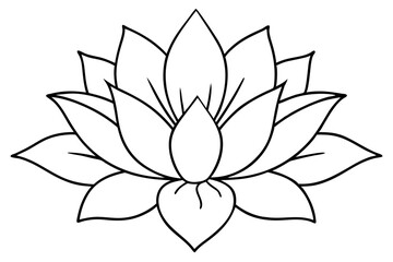 Minimalist Nature Bloom Line Art Vector