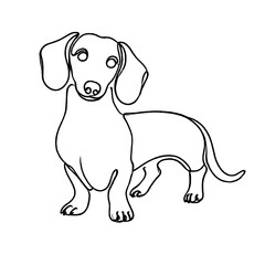 Minimalist Line Art Illustration of a Standing Dachshund with Long Body and Droopy Ears