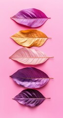 ピンクの背景に並ぶ色とりどりの葉のアートディスプレイと自然の美しさ