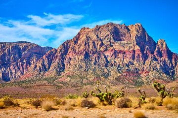 Red Rock Canyon Vibrant Cliffs and Desert Vegetation Eye-Level Perspective