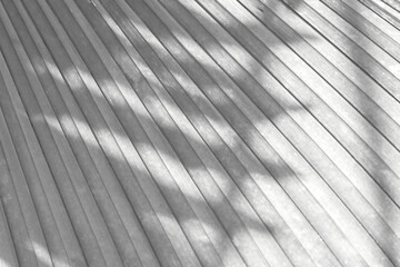 Abstract grey palm leaf texture background, tree shade on palm tree, gray tone style