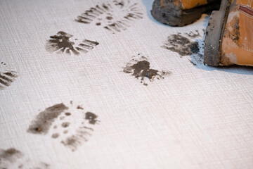 A close up of the wet muddy footprints on the carpet or floor in the living room. A pair of brown...