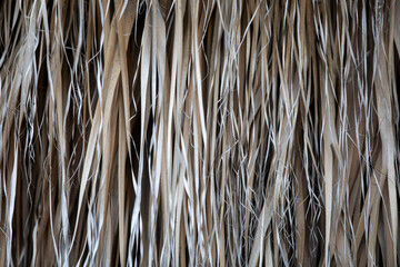 close up of a bamboo
