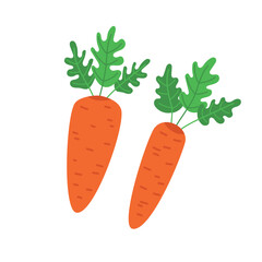 Carrot isolated vector. Cartoon carrot illustration on White Background.