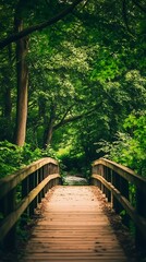 Picturesque view bridge surrounded vibrant greenery natural harmony image