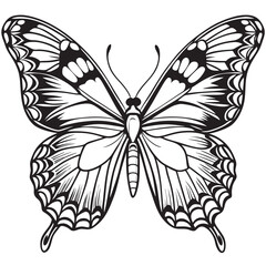 A black silhoutte butterfly lineart vrctoron a isoleted white background  