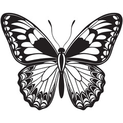 A black silhoutte butterfly lineart vrctoron a isoleted white background