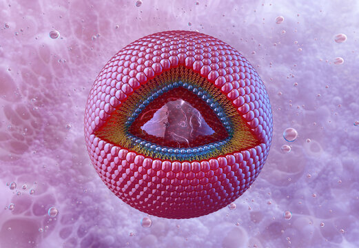 Scientific visualization of a liposome vesicle composed of hydrophilic and lipophilic phospholipid bilayers, resembles structure of cell membrane. Drug delivery system, nanomedicine, biotechnology 3D