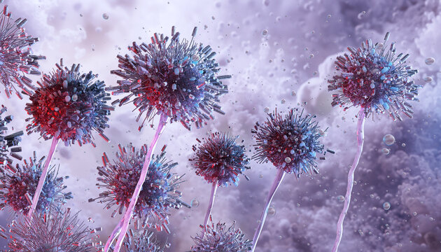 Mucormycosis mold in damp, humid environments, causing decay, health risks. Mucor mold colonies 3D science macro. Toxic black mold contamination, aspergillus fungus allergen. Allergies, asthma disease