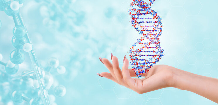 A woman's hand holds a detailed 3D DNA double helix with molecular structures. Medicine, genetic research, biotechnology science, CRISPR technology, scientific medical discovery DNA background design