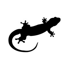 minimalist black and white lizard design