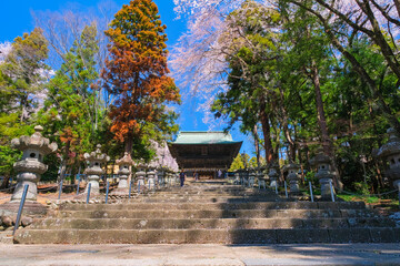 宮城県仙台市 春の仙台東照宮 参道