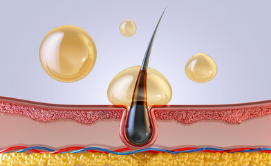 Microscopic view of hair follicle, oil droplets. 3D illustration of haircare shampoo, conditioner, serum. Nourishing effects of hair care product. Healthy hair, scalp treatment, cosmetic technology