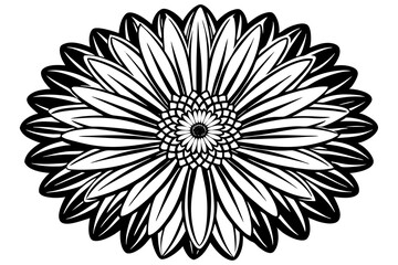 Silhouette flower plant vector image and white background