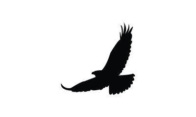 Flying Hawk Bird Silhouette Design  And Vector Illustration. 