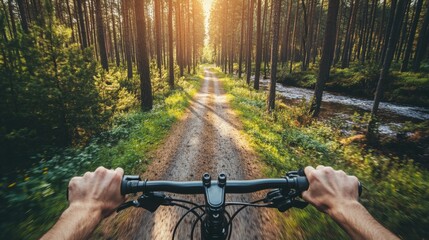 Biking along a serene dirt trail surrounded by tall trees, the warm glow of sunset filters through the foliage. An inviting creek runs alongside, enhancing the peaceful atmosphere of the ride.