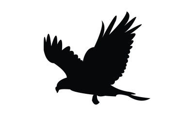 Flying Hawk Bird Silhouette Design  And Vector Illustration. 