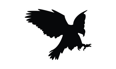 Flying Hawk Bird Silhouette Design  And Vector Illustration. 