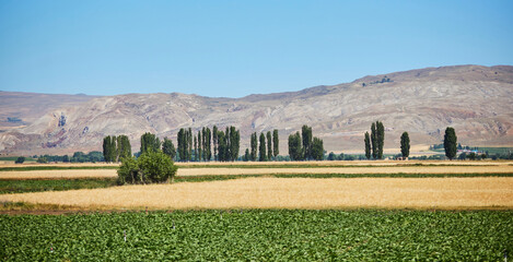 Beautiful mountain landscape. The Central Anatolia region in Turkey. Agricultural industry
