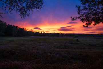 Amazing autumn sunset over the forest and meadow
