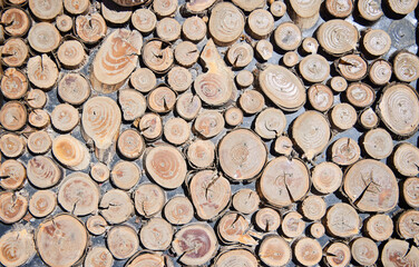 The texture of small tree cuts. Surface, exterior decor
