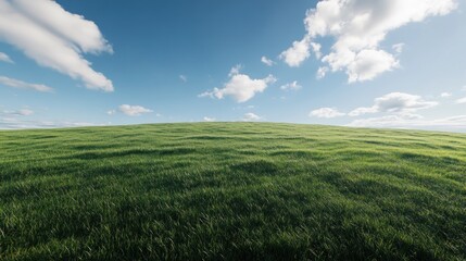 Fototapeta premium Lush green field under a bright blue sky with clouds