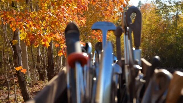 Equipment, a tool rack in the fall, smooth looping video