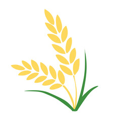 illustration of wheat plant