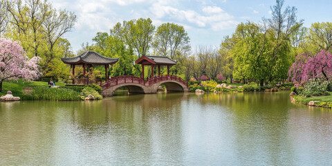 Fototapeta premium A vibrant Chinese garden in spring, with koi ponds, arched bridges, blossoming cherry trees, and intricate pavilions surrounded by lush greenery under a bright sky. The serene and harmonious setting