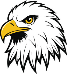 Bald eagle head vector illustration