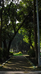 The paths are surrounded by shady trees and plants and make the air cooler