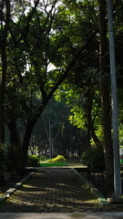 The paths are surrounded by shady trees and plants and make the air cooler