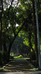 The paths are surrounded by shady trees and plants and make the air cooler